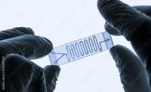 New Pharma Microfluidic Technology Approaches Commercialisation