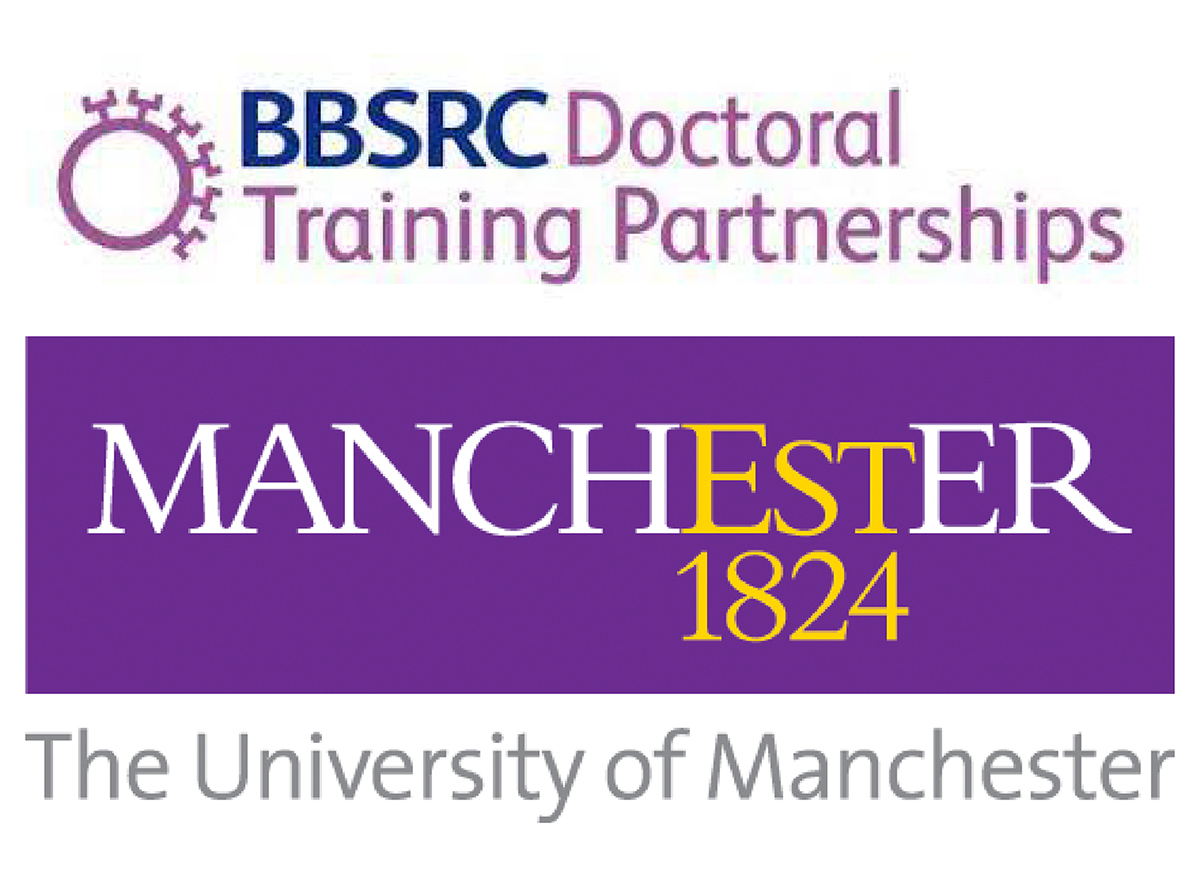 Professional Internships for PhD Students (PIPS) with the University of Manchester