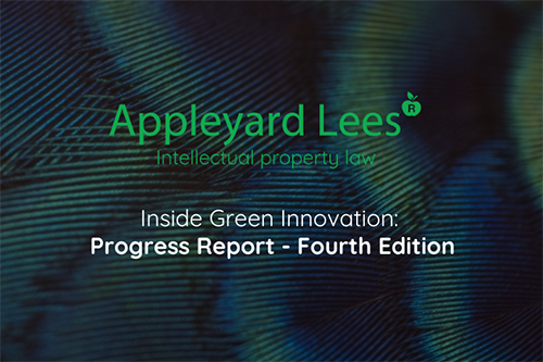 Inside Green Innovation: Progress Report