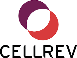Kuraray and CellRev Partner to support optimised cell culture systems in Regenerative Medicine