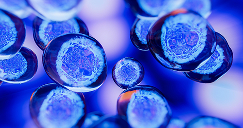 Targeting the undruggable proteome with molecular glues