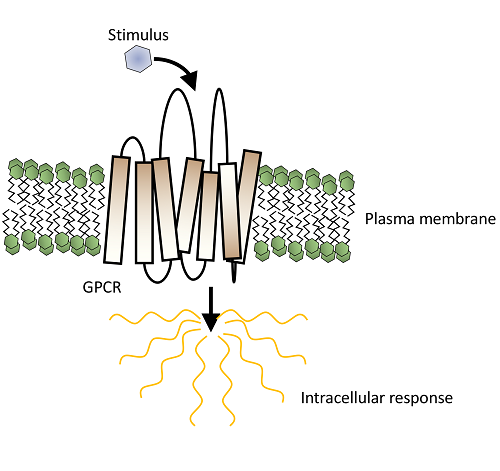 GPCRs: ‘you’ve gotta know how to hold them, you’ve gotta know how to fold them!’