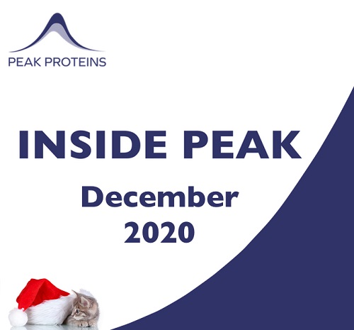 Inside Peak Christmas Special