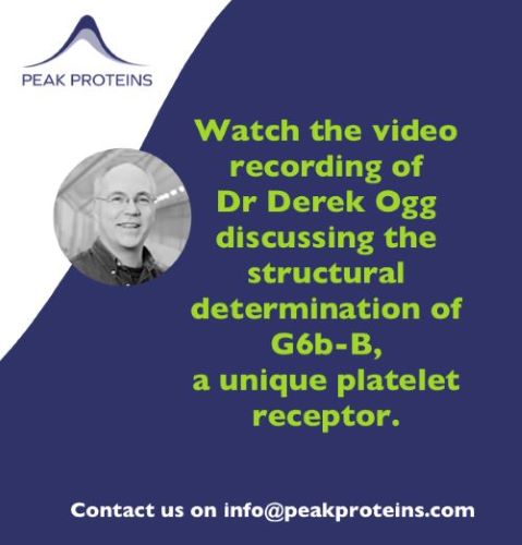 Watch Dr Derek Ogg Discuss G6b-B – a Unique Platelet Receptor