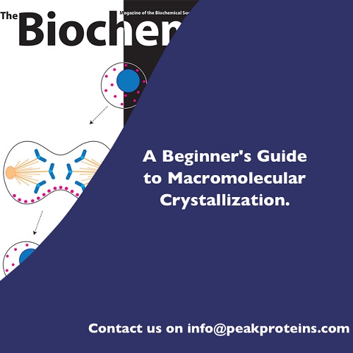 A Beginner’s Guide to Macromolecular Crystallization