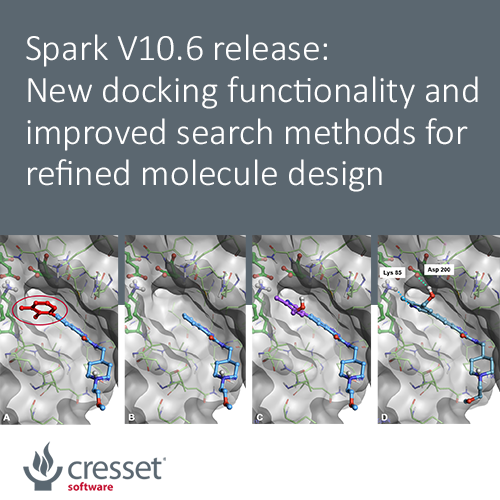 Spark V10.6 release: New docking functionality and improved search methods for refined molecule design