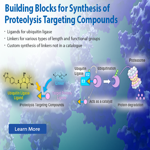 Building Blocks for Synthesis of Proteolysis Targeting Compounds