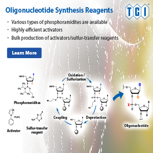 Oligonucleotide Synthesis Reagents