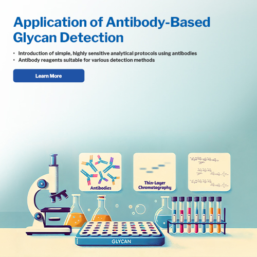 Application of Antibody-Based Glycan Detection