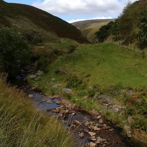 River restoration in the Holme catchment