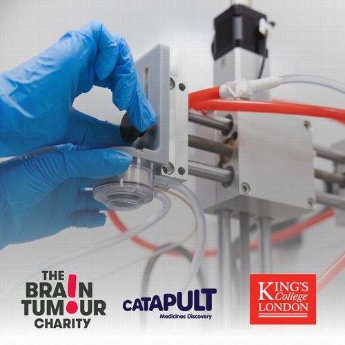 Breakthrough Glioblastoma Treatments Move Closer to Patients as Medicines Discovery Catapult and King’s College London Secure Brain Tumour Charity Funding
