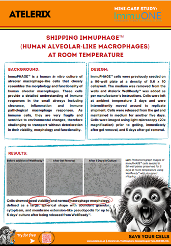 Atelerix - New Mini Case Study - ImmuOne